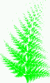 Fractal fern